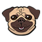 Pug