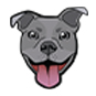 Pitbull