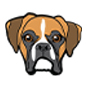 Boxer