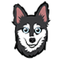 Alaskan Klee Kai