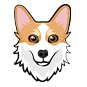 Corgi