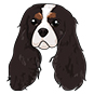 King Charles
