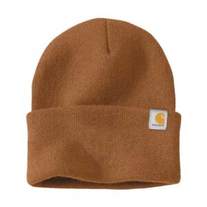 Carhartt Watch Cap 2.0